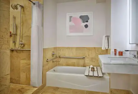 Brickell Arch, a Luxury Collection, Miami - 11