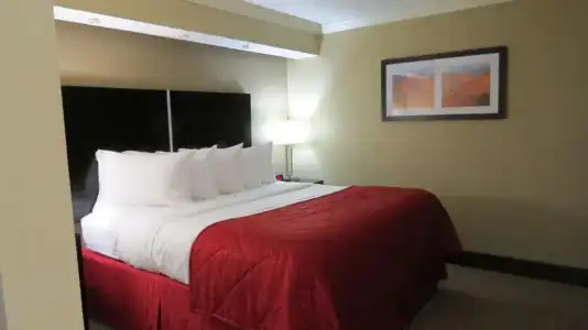 Best Western Harrisburg North - 50