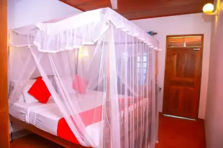 OYO 388 Surf Sea Breeze - 73