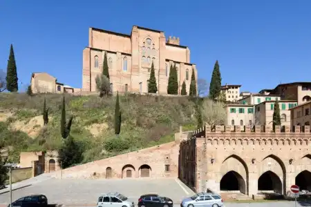 Siena Vip - 181