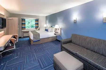 Microtel Inn & Suites by Wyndham Greenville / Woodruff Rd - 22
