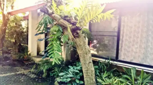 Baan Songjum Homestay - 37