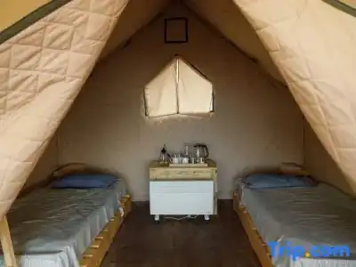 Charyn Canyon Camp - 42