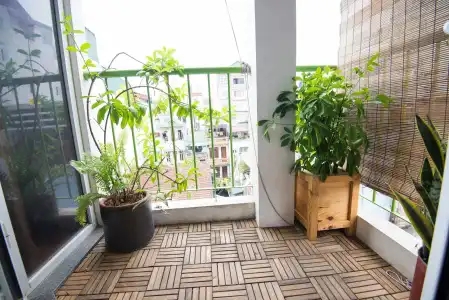 Maison d'Orient - 17