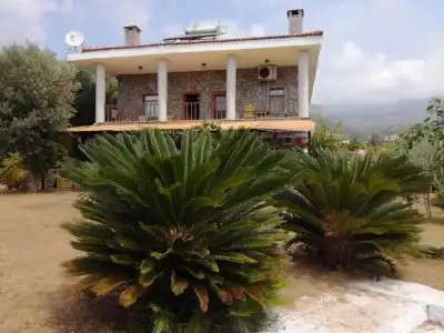 Bahar Bahce Datca - 0
