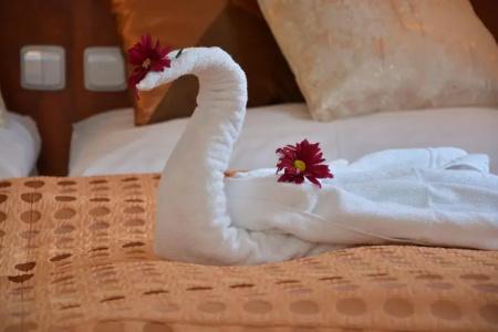 Spa & Wellness Harmonie - 35