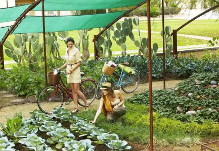 JW Marriott Phoenix Desert Ridge Resort & Spa - 29