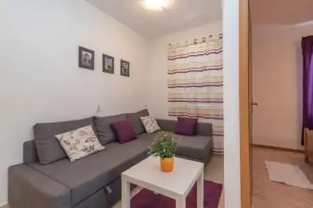 Apartments Vojin - 107