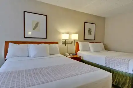 Vagabond Inn Executive Old Town - 4