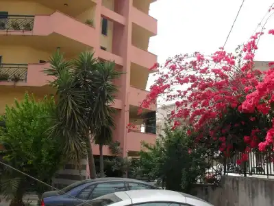 B&B Agave - 0