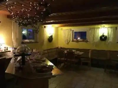 Pension Hubertushof Freiberg - 10