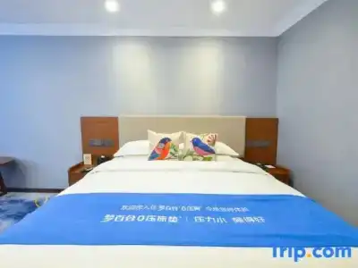 Wanyou Conifer Chongqing - 25