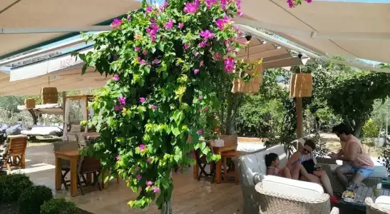 Selimiye Base - 25