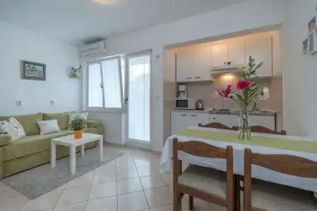Apartments Vojin - 164