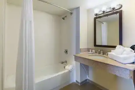 Comfort Inn & Suites SW Houston Sugarland - 8