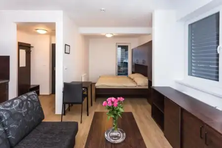 Barok and Apartments - 56