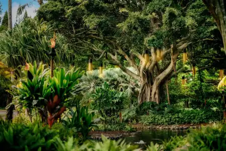 The Ritz-Carlton Maui, Kapalua - 26