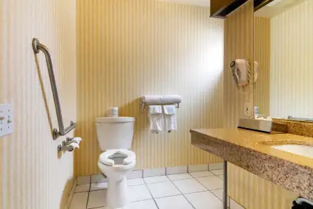 Econo Lodge Inn & Suites - 9