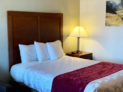 Red Carpet Inn Medford - 17