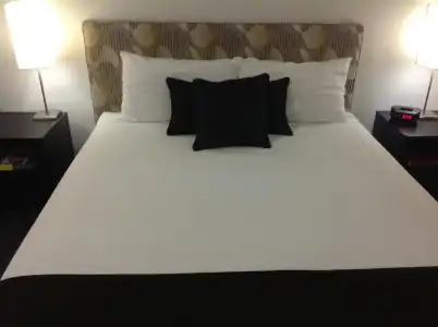 Best Western Cattle City Motor Inn - 93