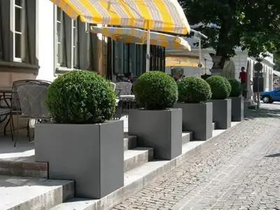 Bären Langenthal - 17