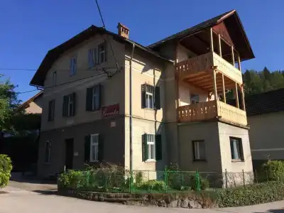Vila Gorenka - 11