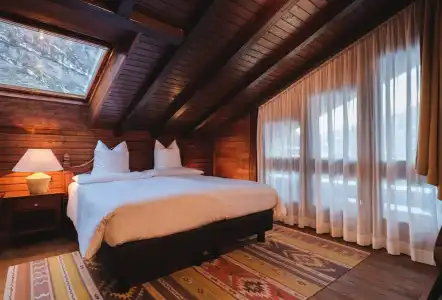 the rex, Zermatt - 53