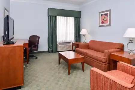 Holiday Inn Express Tampa N I-75 - University Area by IHG - 26