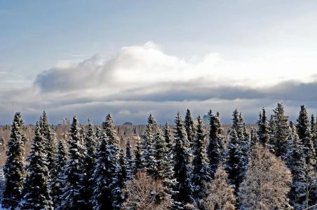 Alex and Suites - 12