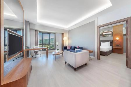 Dedeman Tokat - 5