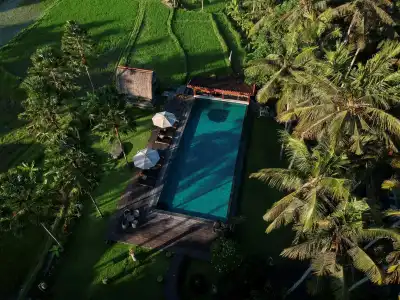 The Artini Dijiwa Ubud - 13