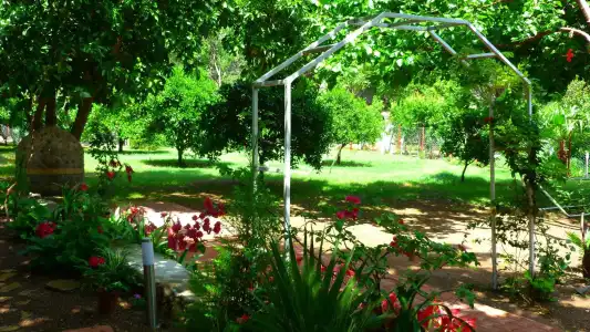 Simge Pension - 26