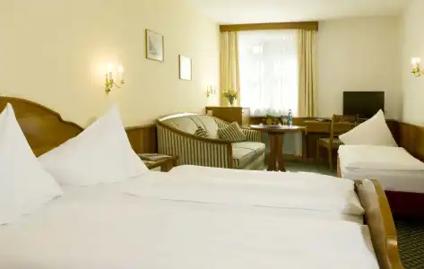 König - 5