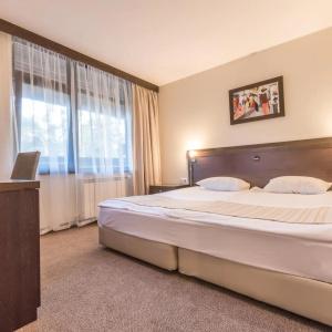 Lion Borovets - 33