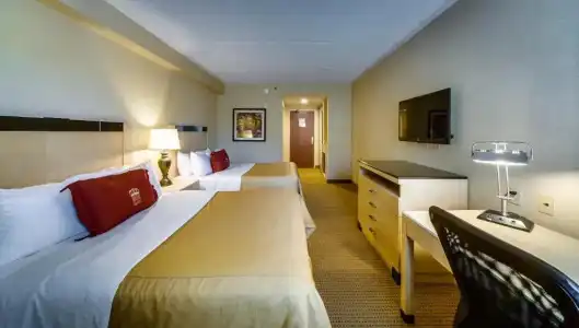 Monte Carlo Inn Barrie Suites - 36