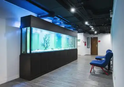 S Box Sukhumvit - 12