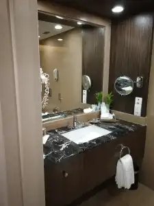 Taj Bengal - 65