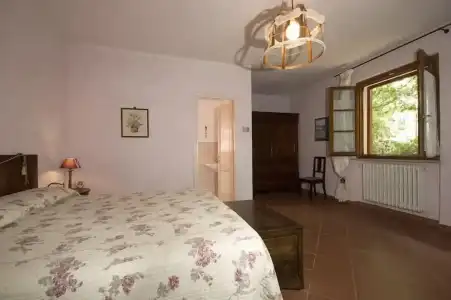 Primavera - 14