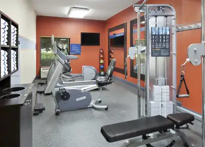 Hampton Inn Dallas-Irving-Las Colinas - 38