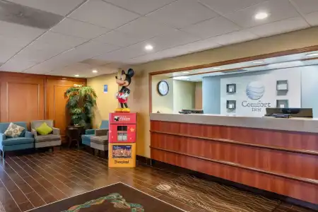 Comfort Inn Anaheim Resort - 1