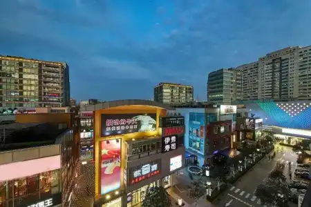 Four Points by Sheraton Shanghai, Daning - 91