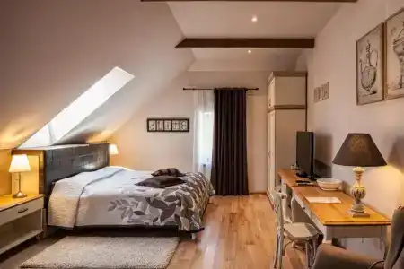 B&B Dvor Tacen - 26