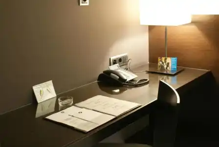 ALEGRIA President - 50