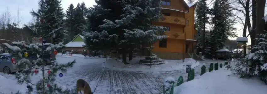Villa Iris - 13