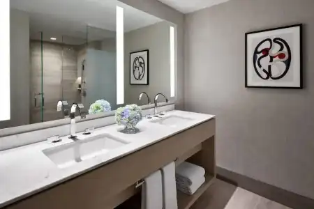 The Ritz-Carlton, Chicago - 27