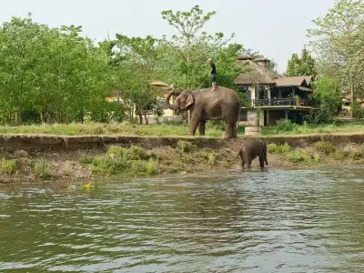Sapana Village Lodge - 23