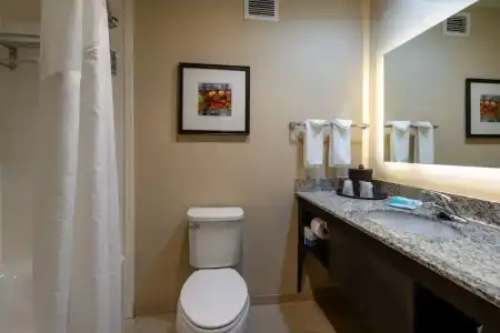 Holiday Inn Murfreesboro by IHG - 72