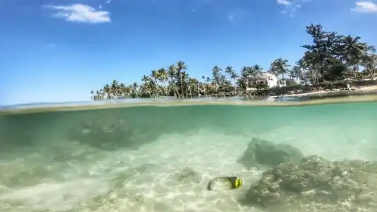 Turtle Eco Beach Resort - 4