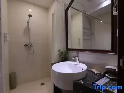ibis budget Singapore Sapphire - 94