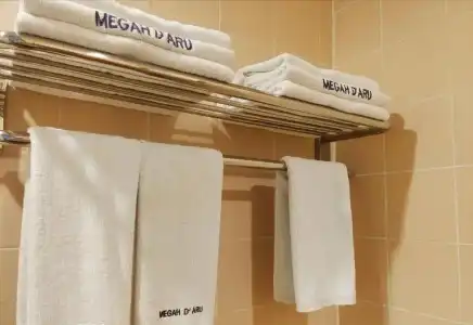 Megah D'Aru - 43